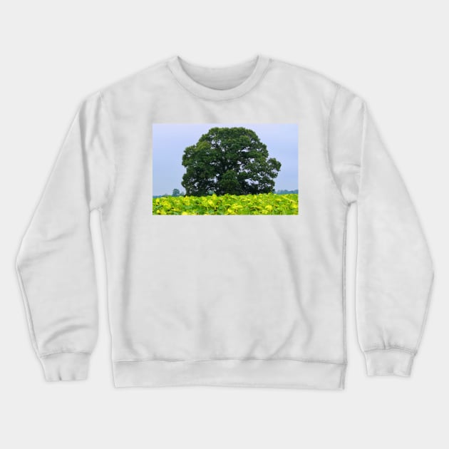 Tree In A Field Of Sunflowers Crewneck Sweatshirt by Cynthia48